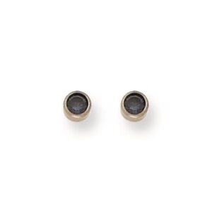Titanium Montana Blue Starter Earrings